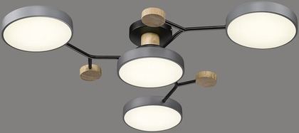 Светильник потолочный Velante LED 446-207-04