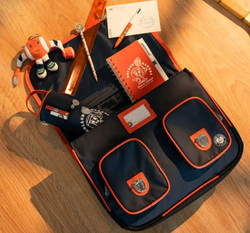 Теннисный рюкзак Roland Garros Gibeciere - navy blue
