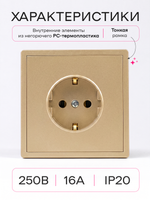 Розетка внутренняя одинарная с заземлением Оптима золотая