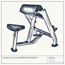Скамья Скотта ULTRAGYM UG-KJ1247 — от 44 000 ₽