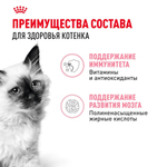 Кусочки в соусе, 85г влажный корм для котят до 12 месяцев Royal Canin Kitten