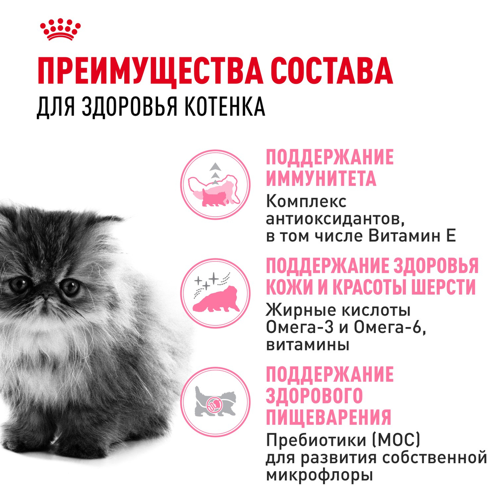 Royal Canin Persian Kitten Персиан Киттен Корм сухой для котят персидской породы до 12 месяцев 400г