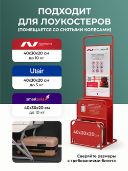 Набор Xs/M ручная кладь и средний Капучино
