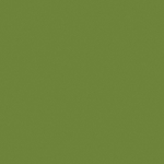 Выкрас Kruleboyz Green 2 — Warhammer Tone Pro