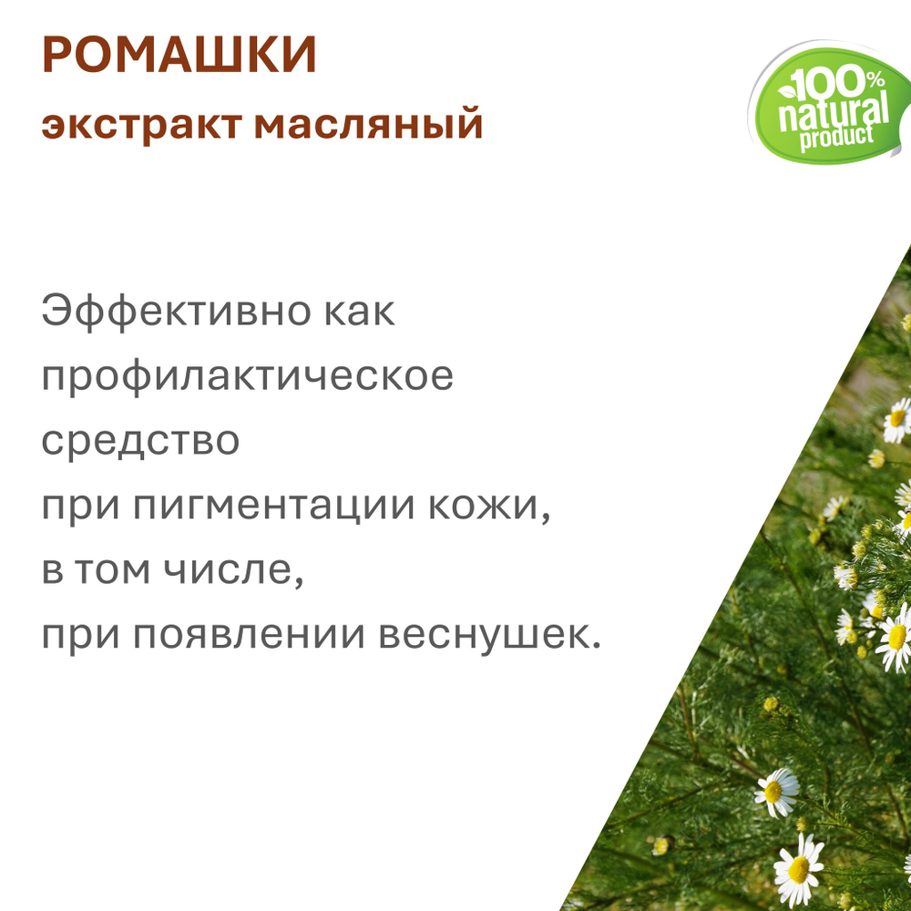 Экстракт ромашки, масляный