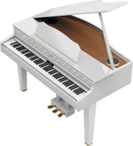 Roland GP 607-PW