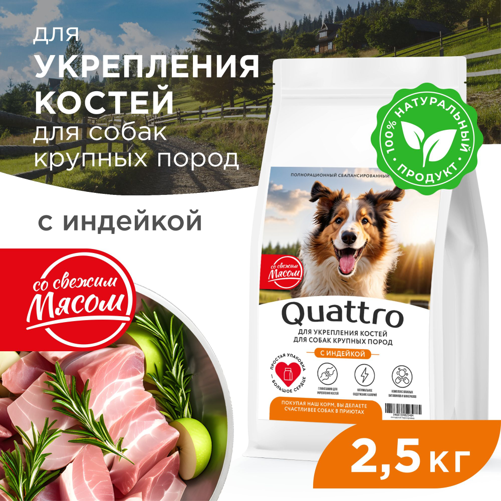 Корм сухой для взрослых собак крупных пород, премиум полнорационный комплекс, для укрепления костей у собак, с индейкой, 2,5 кг, QUATTRO