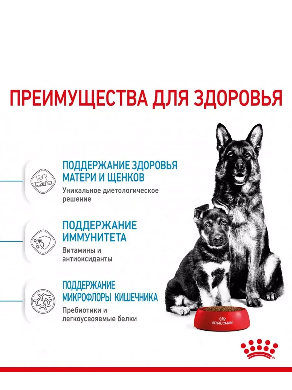 ROYL CANIN XI STARTER MOTHER & BABYDOG 1-2months PRO (РОЯЛ КАНИН МАКСИ СТАРТЕР МАЗЕ ЭНД БЭБИДОГ 1-2 месяца корм сухой для собак Maxi Starter 18 кг.
