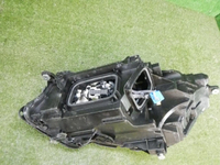 DSCN7874.jpg