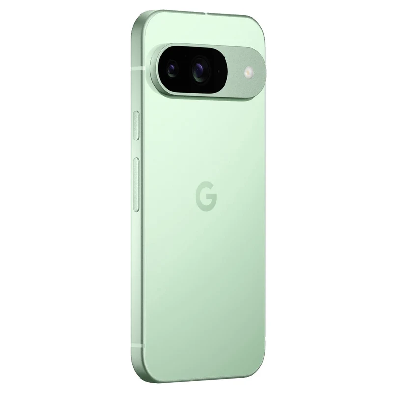 Смартфон Google Pixel 9 12/256Gb SIM+eSIM Wintergreen Global