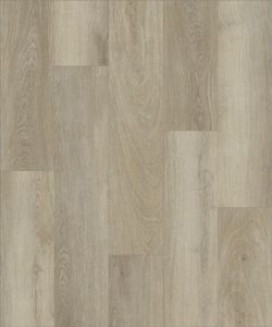 Strong Step Expert XXL Chablis, 2,172 м²