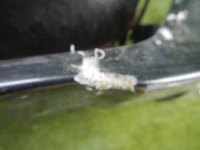 DSCN2203.jpg