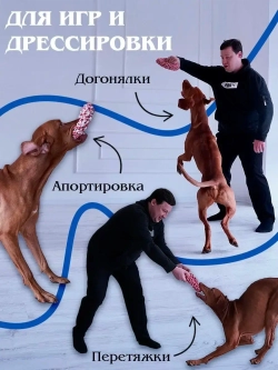 Кольцо каната пуллер для собак