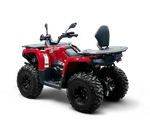 Квадрицикл Bizon YK250 LUX EFI ПТС