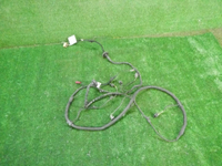 DSCN8577.JPG