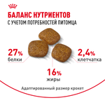 Royal Сanin Mini Urinary Care Мини Уринари Кэа Корм сухой диета для собак мелких размеров с чувствительной мочевыделительной системой 1кг