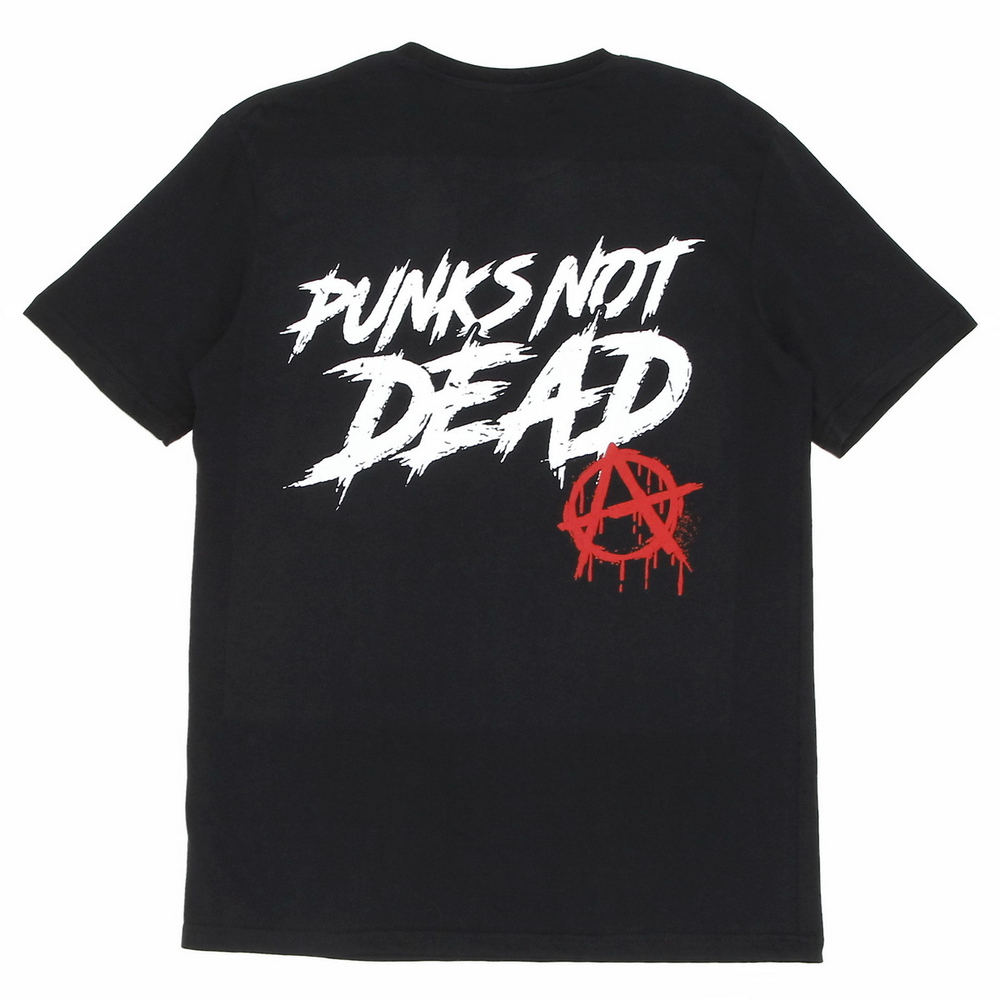 Футболка черная с коротким рукавом Punks Not dead