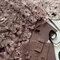 Вышивка на сетке розовая/черная 23 см