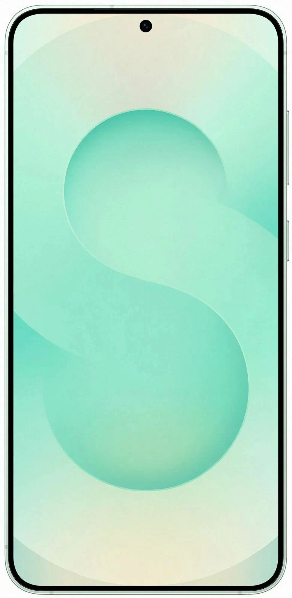 Смартфон Samsung Galaxy S25 12/256Gb Mint
