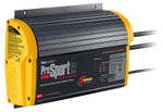 Зарядное устройство Prosport 12 Dual PFC, 12 А, 12/24 В, два зарядных выхода (10264822)