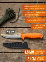 Нож туристический Tagrider Storm, 21 см