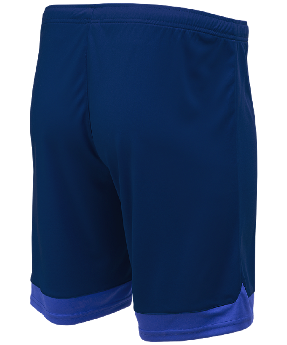 Шорты игровые DIVISION PerFormDRY Union Shorts, темно-синий/синий/белый