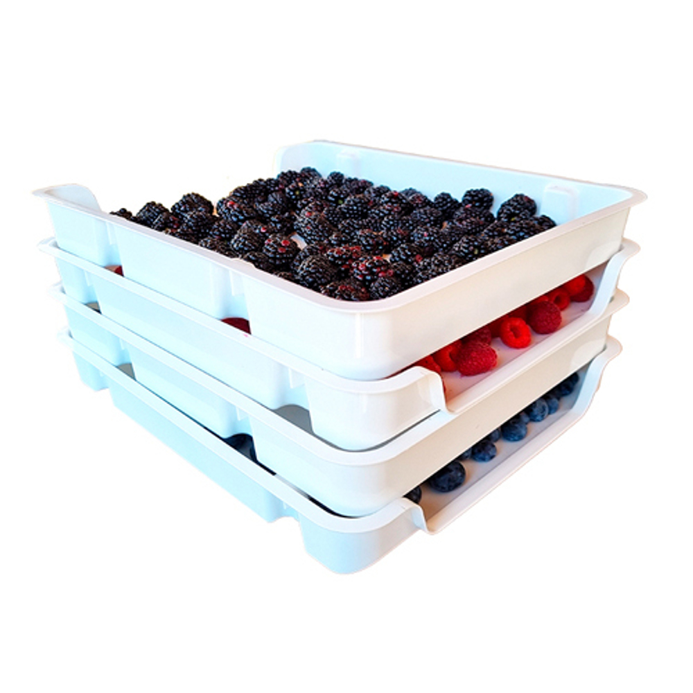Набор лотков для заморозки продуктов (4 шт.) г.Пятигорск