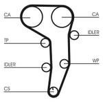 CONTINENTAL CTAM - CT1051WP1-COT - Water Pump & Timing Belt Set