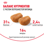 Royal Canin Rottweiller Puppy Ротвейлер Паппи Корм сухой для щенков породы Ротвейлер до 18 месяцев 12кг