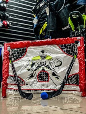 Набор для тренировок "Winnwell" (W / PVC mini net & target set 28", 2 sticks, ball & carry case)