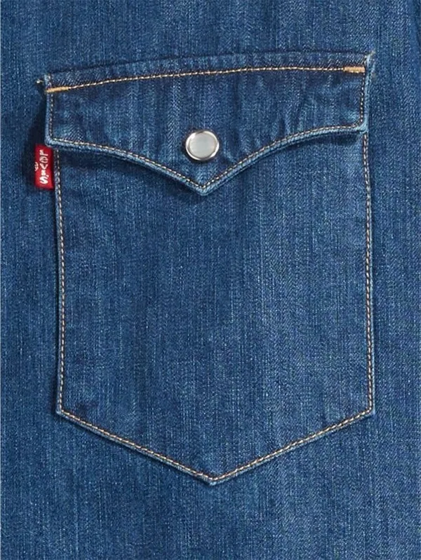 Рубашка мужская LEVI'S BARSTOW WESTERN STANDARD LOWER HAIGHT
