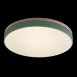 Потолочный светодиодный светильник Loft It Axel 10001/36 Green