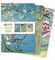 Bloknot \ Блокнот \ Notebook Vincent van Gogh: Blossom Set of 3 Midi Notebooks