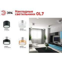 Светильник накладной ЭРА OL7 GX53 GD/CH под лампу GX53 золото/хром | Накладные светильники