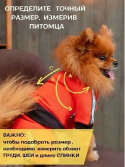 Спортивный комбинезон костюм для собак