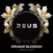 DEUS - Orange Blossom (250г)