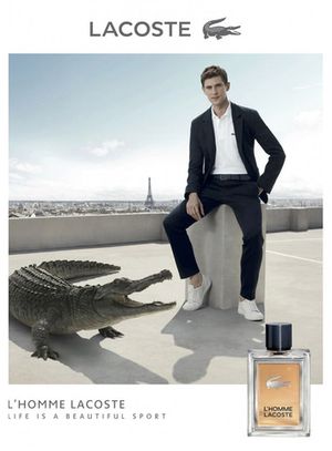 Lacoste Fragrances L'Homme Lacoste