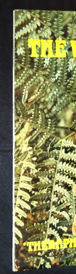 The Web / Theraphosa Blondi (LP)
