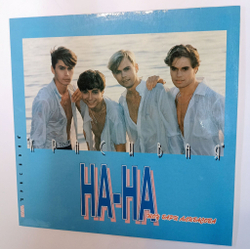 Винтажная виниловая пластинка LP Группа НА НА Красивая (Россия 1993) на-на