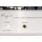 Cayin CS-300A Silver