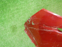 DSCN7527.JPG