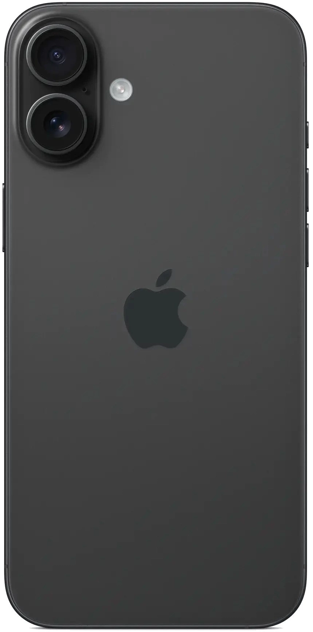 16 Plus 512 Black