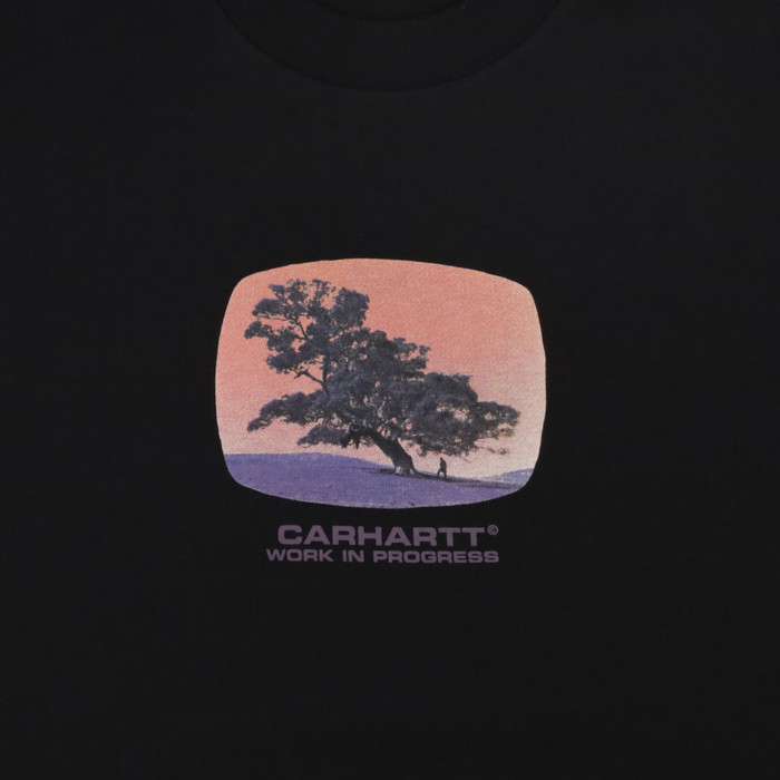 Футболка мужская Carhartt WIP Seeds артикул:I031028 - купить в магазине Дайс