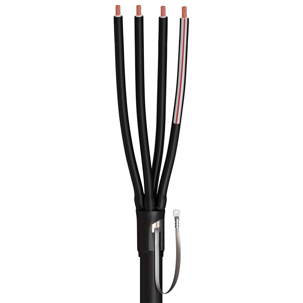 4pktpb1-light_572119040.jpg