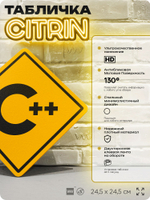 Табличка декоративная "C++" на дверь и стену, для программиста, информационная, декоративный знак, 24,5х24,5 см, пластиковая, Айдентика Технолоджи