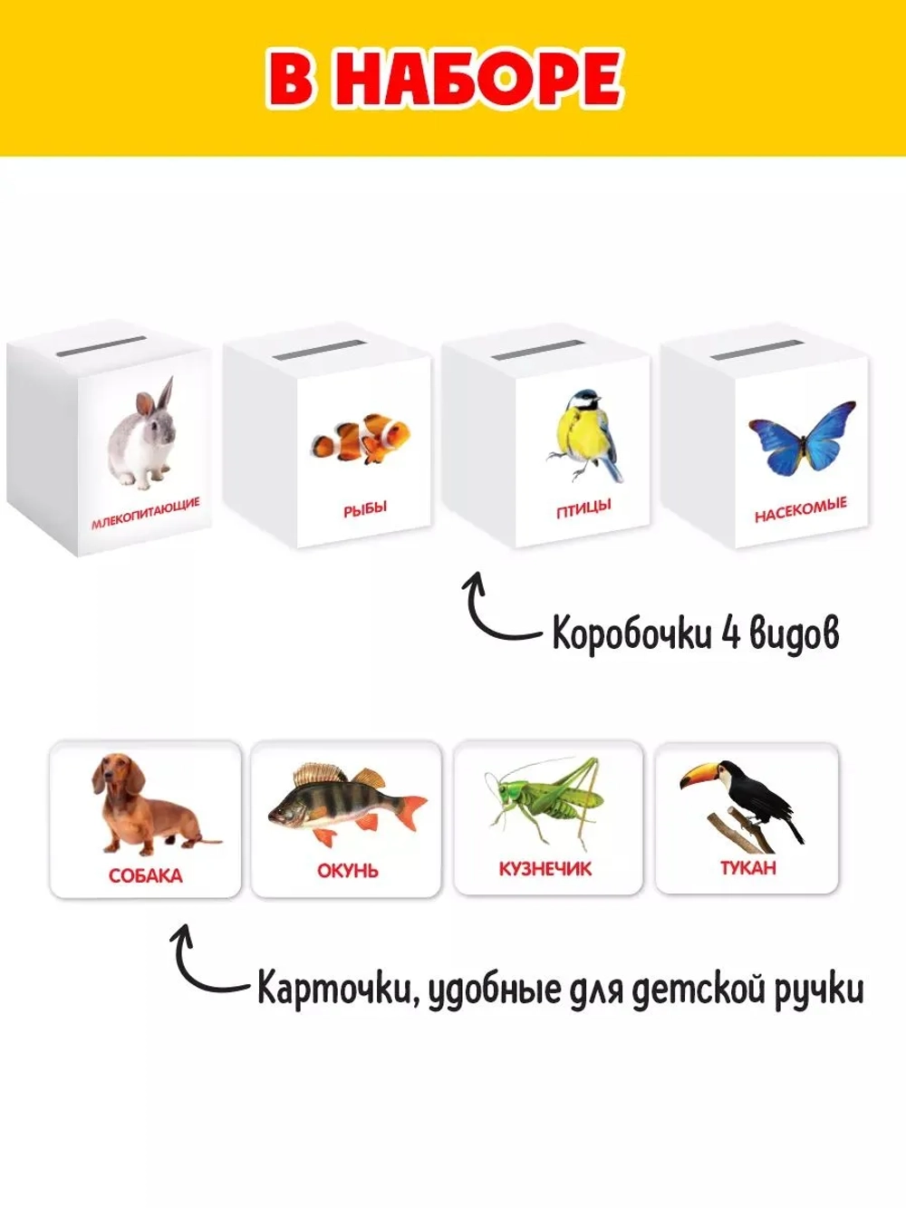 Сортер-копилка «Животные» по методике Г. Домана
