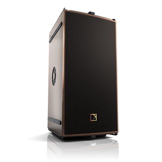 L Acoustics ARCSII
