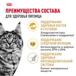 Корм Royal Canin Maine Coon Adult для кошек породы мейн-кун старше 15 месяцев 0.4кг