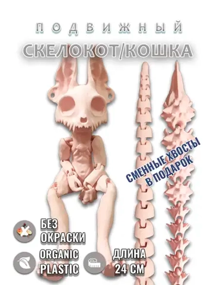 Скелет Кошки