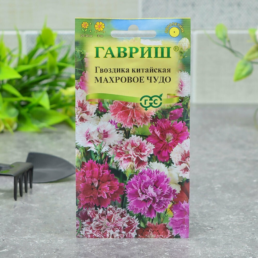ГВОЗДИКА китайская Махровое чудо смесь Гавриш Ц (10шт)
